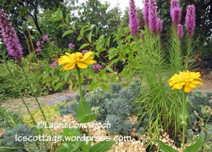 Zinnia and Liatris