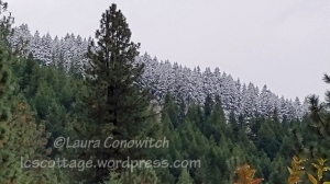 09-28-2019 Early Snow Storm