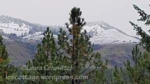 09-28-2019 Early Snow Storm