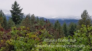 09-28-2019 Early Snow Storm