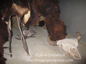 Buffalo Bill Center of the West