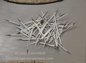 Buffalo Bill Center of the West