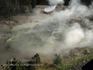 Yellowstone National Park