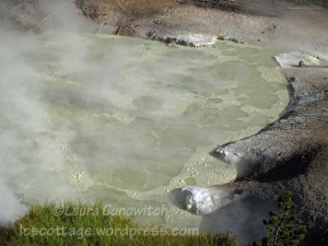 Yellowstone National Park