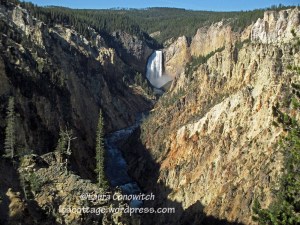 Yellowstone National Park Upper Falls