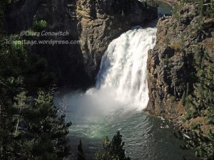 Yellowstone National Park Lower Falls