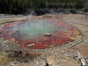 Yellowstone National Park