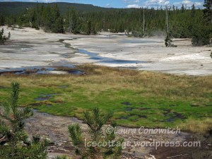 Yellowstone National Park