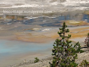 Yellowstone National Park