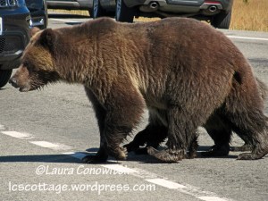 Yellowstone National Park