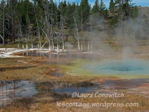 Yellowstone National Park