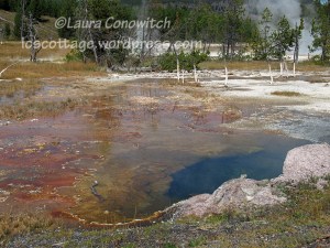 Yellowstone National Park