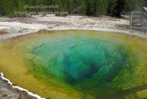 Yellowstone National Park
