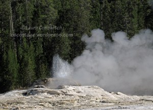 Yellowstone National Park