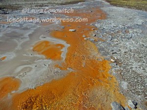 Yellowstone National Park