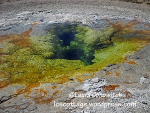 Yellowstone National Park
