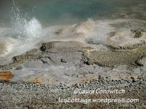 Yellowstone National Park