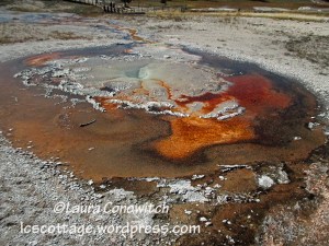 Yellowstone National Park