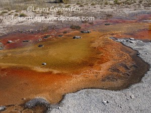 Yellowstone National Park