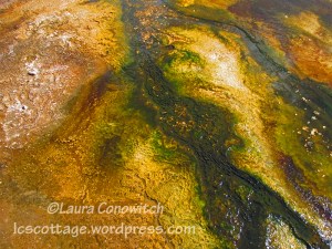 Yellowstone National Park