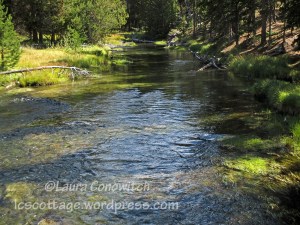 Yellowstone National Park