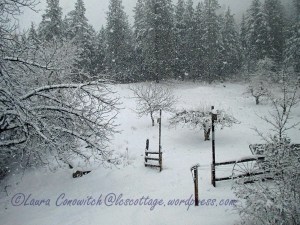 Snow January 12-2020