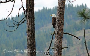 Saint Paul's Mission