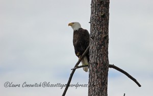 Saint Paul's Mission