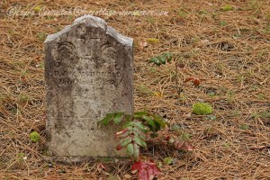 Saint Paul's Mission