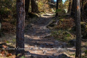 Riverside State Park