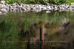 Riverside State Park