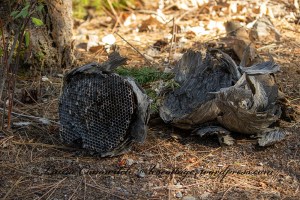 Riverside State Park