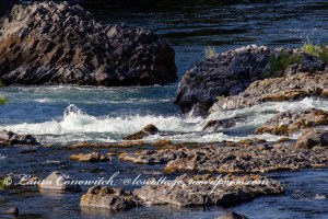 Riverside State Park