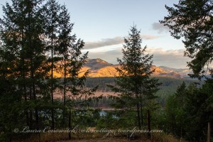 Home Sweet Home -Drilling