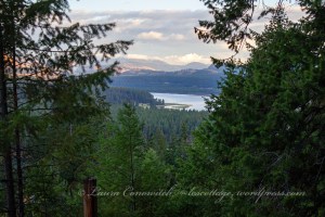 Home Sweet Home -Drilling