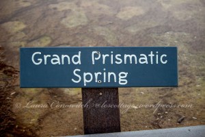 Yellowstone National Park