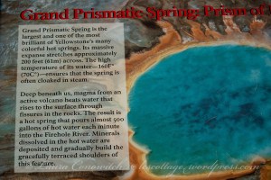 Yellowstone National Park