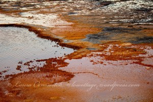 Yellowstone National Park