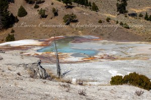 Yellowstone National Park