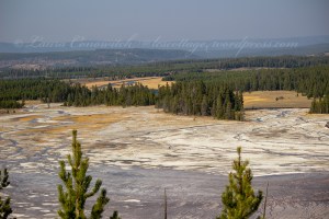 Yellowstone National Park