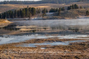 Yellowstone National Park