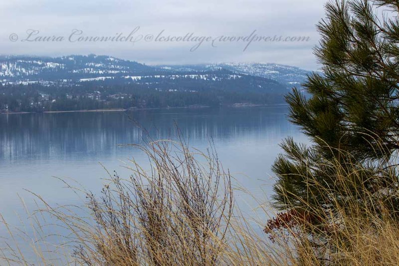 Lake Roosevelt Columbia River