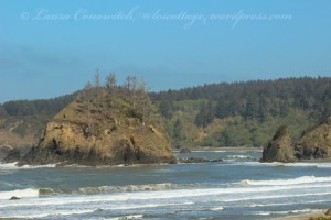Trinidad State Beach