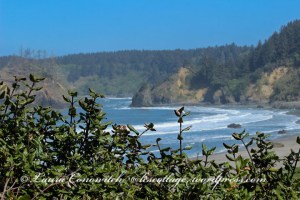 Trinidad State Beach