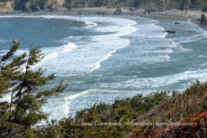 Trinidad State Beach