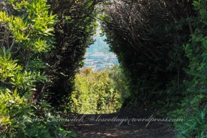 Trinidad State Beach