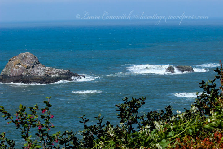 Trinidad State Beach