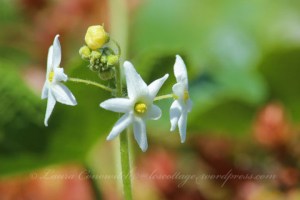 Trinidad State Beach