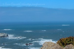 Trinidad State Beach