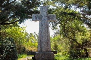 Trinidad State Beach